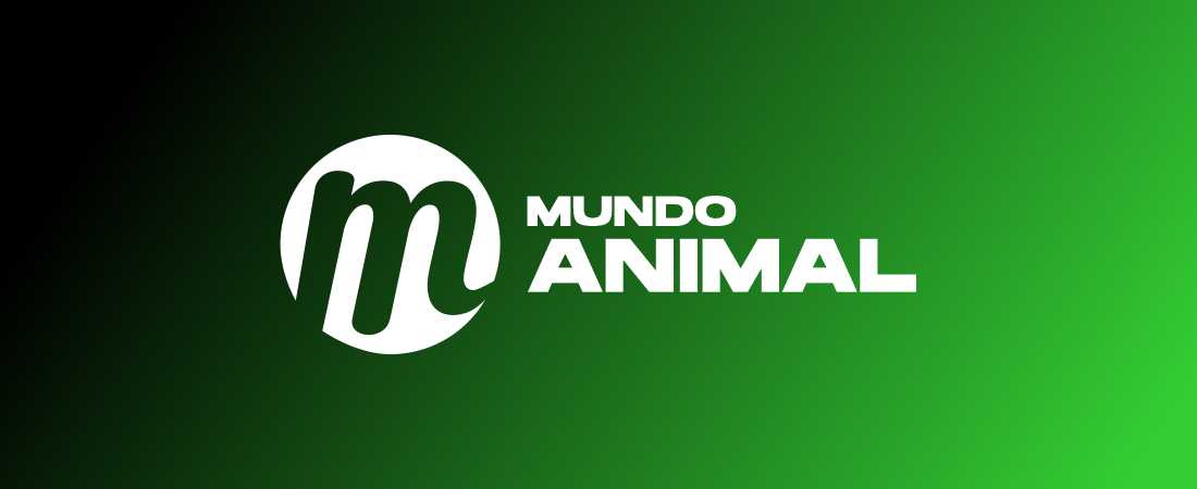 Mundo Animal